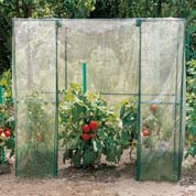 Estufa para tomates - 194 x 77 x 190 cm